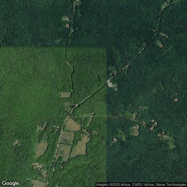 Plus de détails pour 181 Galli Curci Road, Arkville, NY - Terrain à vendre