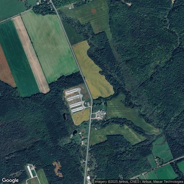 Plus de détails pour 244 County Rd 9, Plantagenet, ON - Terrain à vendre