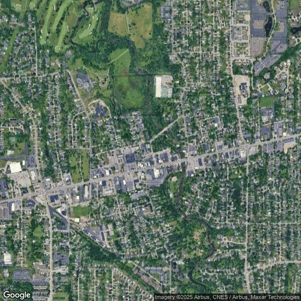 Plus de détails pour 18 E Spring St, Buffalo, NY - Local commercial à vendre