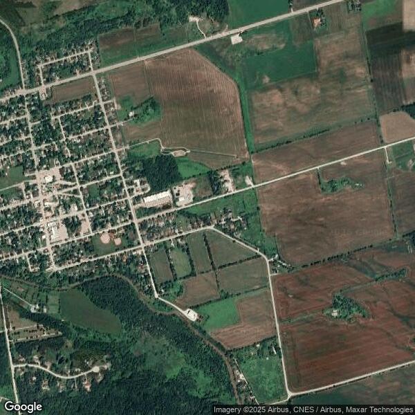 Plus de détails pour 101 Edward St E, Creemore, ON - Terrain à vendre