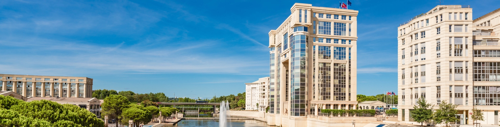 Immobilier d’entreprise en Montpellier disponible à louer